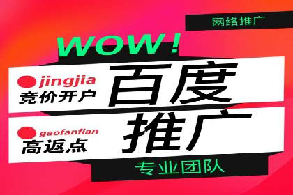 SEM代运营服务公司案例分析：提升广告效果