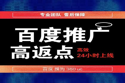 行业领先企业的SEM竞价代运营案例解析