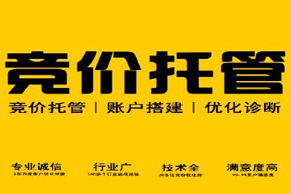 百度竞价入门必看：实操技巧与成功案例